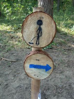 Harcerstwo